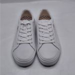 Taos Plim Soul Womens Canvas Sneaker Size 10W White Lace Up Casual Shoes Comfort Photo 2