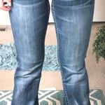 Big star Dark Wash Bootcut Jean Photo 0