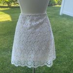 ZARA  Ivory Lace Scalloped Hem Lined Mini Skirt Photo 2