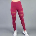 Buffbunny Collection Buffbunny Anastasia Mesh Leggings High Rise Sheer Red Burgundy athletic Pants S Photo 1