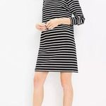 Loft  Striped Ottoman Mock Neck Dress Long Sleeve Mini Ribbed Material NWT - S Photo 13