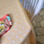 Free People Beach Fez Surf Bootie Swim Shorts Small Photo 6