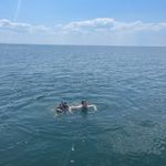 Free People  Movement Leggings Photo 1