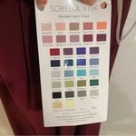 Sorella Vita  Burgundy Chiffon Maxi Dress Sz 12 NWT Photo 6