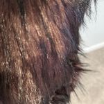 Sebby Collection faux fur sweater vest brown Maroon Black outerwear Size XL Purple Photo 5