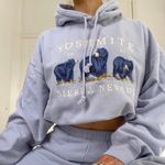 Brandy Melville  Christy Yosemite 1991 Sierra Nevada Hoodie Japan Exclusive‎ Fall Photo 0