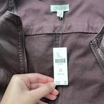 Pilcro Dress Photo 2