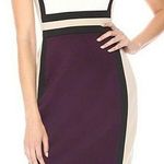 Calvin Klein  White / Tan / Black / Purple Colorblock Scuba Business Dress Size 4 Photo 0
