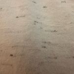 Vintage Aruba Shell Graphic T Photo 3