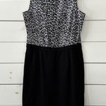 Chico's Chico’s Hailey Blocked Animal-Print Sheath Dress Size 2.5 Photo 9