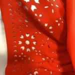 Tropical Escape NWT  Swimdress size 14 Photo 2