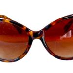 Tortoiseshell Style Cat Photo 0