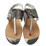 Isola Snakeskin Print Thong Sandals Silver Accent Buckle Strap Size 9M Photo 0