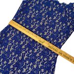 Eliza J Women’s Sz 0 Sleeveless Lace Blue Mini Fitted Sexy Dress Photo 8