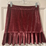 Dress Forum NWT  Mini Skirt Photo 0