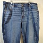 American Eagle Blue Stretch Tomgirl Button Fly Jeans Long Size 20 L Photo 2