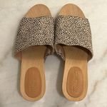 Madewell The Evelyn Slide Wood Clog Slides in Spotted Calf Hair New Size 6.5 Photo 3