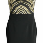 The Limited  Zebra Patterned Mini Dress Photo 0