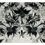 Apt. 9 Womens  Black and White Graphic Floral Pencil Skirt with Stretch Size S Photo 1