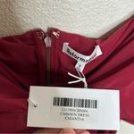 Reformation NWT Caishen Dress in Chianti 6 Photo 12