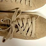 Steve Madden Charlie Suede Sneakers Photo 7
