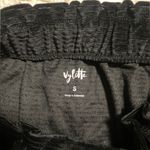 Vylette Black Skirt with belt Photo 1