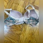 Wacoal  Beige and Teal Lace Bra Photo 1