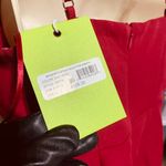 Sam Edelman Feather hem sheath Red Wine Dress NWT $158 Valentines Lady in red 6 Photo 11