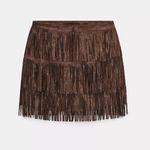 ZARA - SHIMMERING FAUX SUEDE FRINGE SKIRT Photo 4