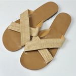 J.Crew  Women’s Flat Sandals Size 9 Photo 1