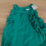 TCEC NWT  Green Dress Photo 1