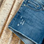 Frame  Denim Le Cutoff Distressed Raw Hem Denim Shorts  Photo 1