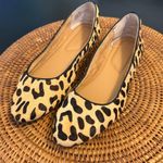 Kelly & Katie  Animal Print Flats Photo 0