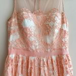 AQUA Peach Lace Floral Mesh Belted Party Dress, Tulle Cocktail Dress, Size 10 Photo 2