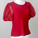 Mittoshop Red Sheer Textured Puff Short-Sleeve Preppy Cute Blouse Small Photo 1