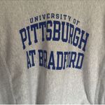 Champion University of Pittsburgh Crewneck Grey Size M Photo 2