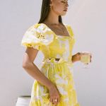 Sabo Skirt Mini Dress Photo 2