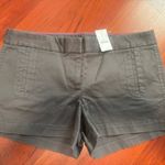 J.Crew Sz 10 Brand New Shorts Photo 0