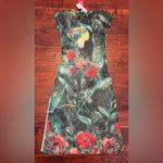 New Pierim Toucan print bird mesh beach swim cover Photo 2