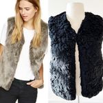 Aritzia Talula Park Slope Faux Fur Vest in Black | XXS Photo 1
