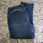 Falls Creek  Denim Jean Size 18 S Photo 1