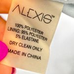 Alexis  Smocked Ruffle Mini Skirt Photo 3