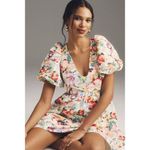 Anthropologie NWT  Sachin & Babi Puff-Sleeve Deep-V Taffeta Mini‎ Dress Medium Photo 6