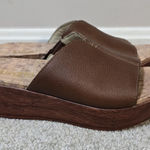 Alegria Triniti Brown Faux Wood Platform Wedge Slip-On Sandals 39 US 8.5/9 EUC Photo 0