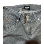 Hudson Jeans Hudson Gray Gold Polka Dot Collin Vice Versa Skinny Jeans Sz 25 Photo 8