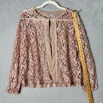 & Other Stories Womens Lace Top Pink M/L Open Front Long Sleeve Crew Neck Formal Dressy Photo 3