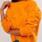 Free People NWT  Luna Pullover sweater Photo 0