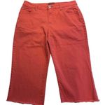 Bandolino  Red Flare Jeans Photo 0