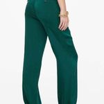 ANINE BING Emerald Green Classic Straight Leg Silk Pants Size 38 NWT Photo 1