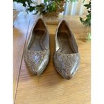 Life Stride  8M Stylist Business Casual Snake-Print Pointed-Toe Ballet Flats Photo 1